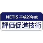 NETIS評価促進議場.jpg