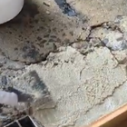videoframe_79755.png