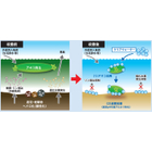 2.メカニズム.jpg