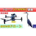 アオサギ.jpg