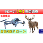 鹿.jpg