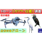 カワウ_白鷺.jpg