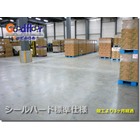 P1010276_sh.jpg