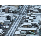 DJI_20250130073543_0026_D_R.JPG