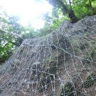 J12053MNCIMG0335.JPG