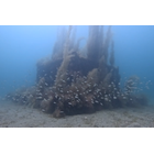 00016スクリーンショット