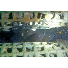 00009スクリーンショット