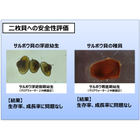 5.貝の安全性評価.jpg