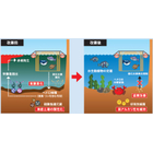 4.赤潮抑制メカニズム.jpg