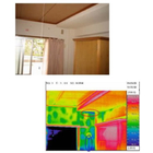 image22.jpg