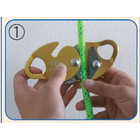 QQ-1.jpg