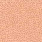 R-AW-095.jpg