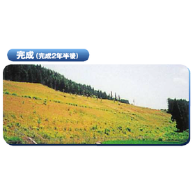 2021-11-30_12h00_00.png