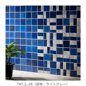 【サブ画像】TNT-2,-2B(目地：ライトグレー）.jpg