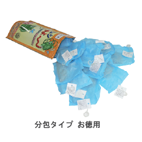 カメムシ2.png