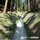 硬化テキメン-2-4.JPG