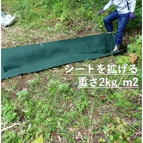 硬化テキメン-6-2.JPG