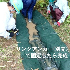 硬化テキメン-6-3.JPG