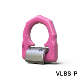 VLBS-P_withname.jpg