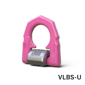 VLBS-U_withname.jpg