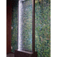 DSC00073.gif