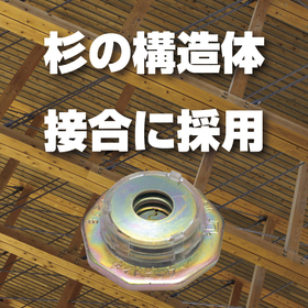 sugi14.jpg