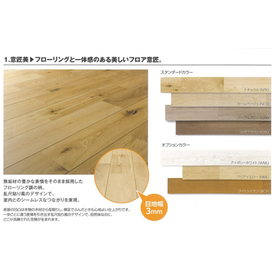 2026-03-05 16_49_45-Flowa（三協アルミ）2026 - コピー.pptx - PowerPoint.png