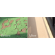 emb_beforeafter.png