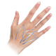 図2.png
