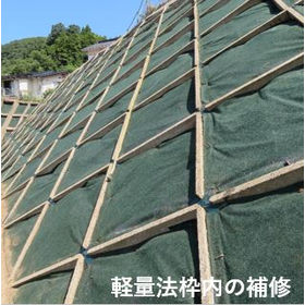 硬化テキメン-1-4.JPG