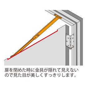 4905637720016_3.jpg