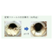 スクリーンショット 2026-09-17 152757.png