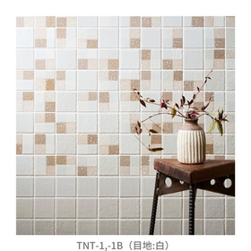 【サブ画像】TNT-1,-1B(目地：白）.jpg