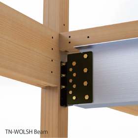 サブ画像データ-TN-WOLSH Beam2.jpg