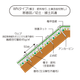 MF-WN-0.png