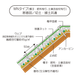 MF-WN-5～30.png