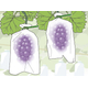 re_orf_grn_grape_app_358.jpg