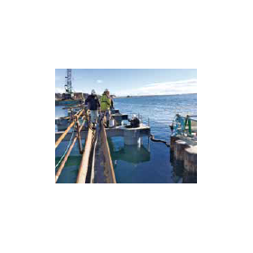 ?スラリー供給システム 画像7.png