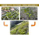 BSC?.png