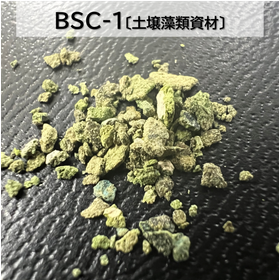 BSC?.png