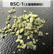 BSC?.png