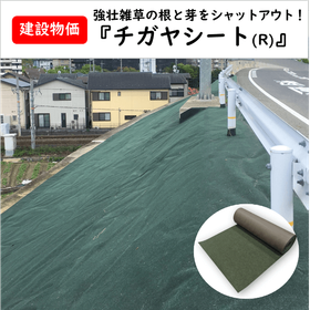 チガヤ掲載用.png