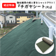 チガヤ掲載用.png