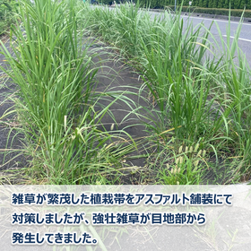 サブ?.png