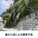 竹被害_2.png