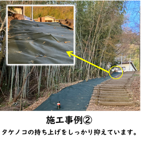 たけ事例.png