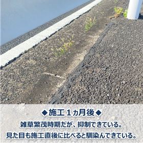 サブ?.png