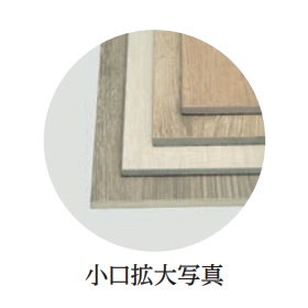 エイシェ7.png