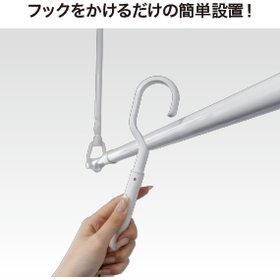 LJ_2.jpg