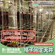 IPROS_TaishinKK_5-01.jpg